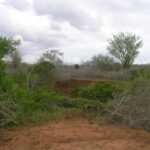 2006-10 Umba Valley 27