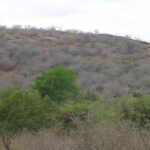 2006-10 Umba Valley 47