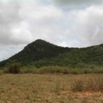 2009-03 Kamtonga 10