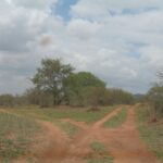 2009-03 Kamtonga 11