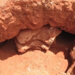 2009-03 Kamtonga 29