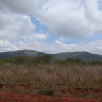 2009-03 Kamtonga 58