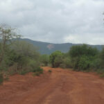 2009-03 Kamtonga 59