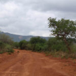 2009-03 Kamtonga 60