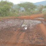 2009-03 Kamtonga 6 muddy