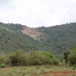 2009-03 Kamtonga 7 tsavorite mine