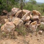 2009-03 Kamtonga 9