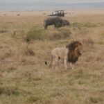 2013-07 Masai Mara 10