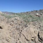 2014-06 Dolan Springs Gold Mine 3