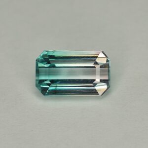 BiColorTourmaline eme cut 10.2x6.1mm 2.90cts N tm1266 SOLD