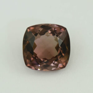 BiColorTourmaline sq cush 9.9mm 4.50cts N tm1585