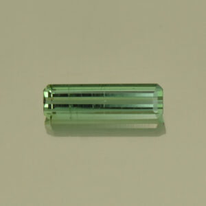 BlueGreenTourmaline eme cut 11.2x3.3mm 1.06cts N tm813