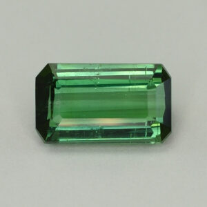 BlueGreenTourmaline eme cut 11.2x6.6mm 3.23cts N tm1358