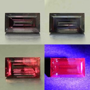 CCDragonGarnet bag 9.3x5.1mm 2.19cts N cc578 combo All scaled 1
