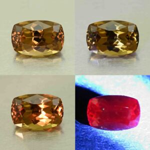 CCDragonGarnet cush 10.1x6.8mm 3.67cts N cc525 comboAll scaled 1