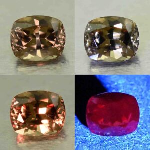 CCDragonGarnet cush 5.1x4.2mm 0.67cts N cc516 comboAll