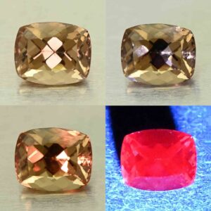CCDragonGarnet cush 6.3x5.2mm 1.14cts N cc556 comboAll