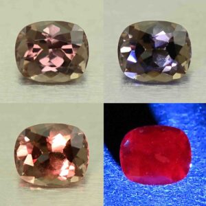 CCDragonGarnet cush 6.5x5.4mm 1.06cts N cc518 comboAll