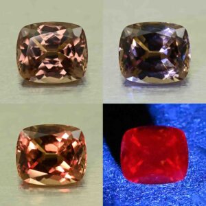 CCDragonGarnet cush 6.5x5.7mm 1.24cts N cc519 comboAll