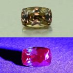 CCDragonGarnet cush 6.8x4.6mm 1.09cts N cc451 combo UV