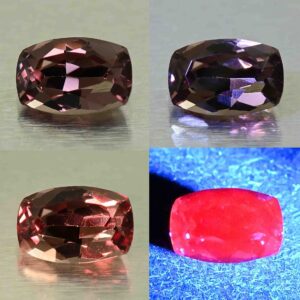 CCDragonGarnet cush 7.4x4.9mm 1.43cts N cc599 combo All