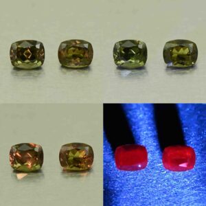 CCDragonGarnet cush pair 5.7x4.6mm 1.70cts N cc576 comboAll scaled 1