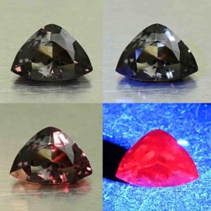 CCDragonGarnet drop trill 7.0x4.9mm 0.76cts N cc593 combo All