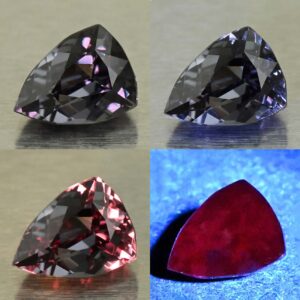 CCDragonGarnet drop trill 7.1x5.3mm 1.25cts N cc618 comboAll