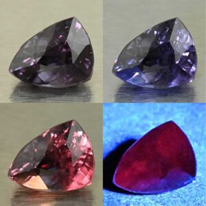 CCDragonGarnet drop trill 7.6x5.8mm 1.59cts N cc630 comboAll