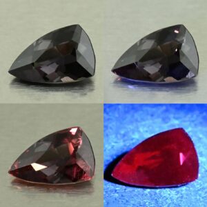 CCDragonGarnet drop trill 8.4x5.4mm 1.18cts N cc632 comboAll