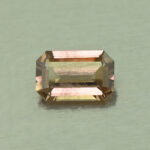 CCDragonGarnet eme cut 6.0x3.9mm 0.55cts N cc456 day