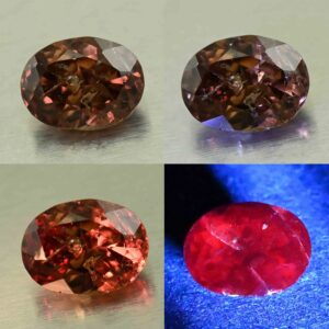 CCDragonGarnet oval 12.4x7.8mm 3.80cts N cc538 combo All scaled 1