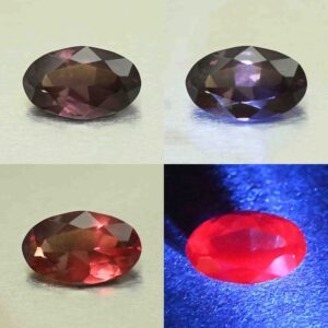 CCDragonGarnet oval 14.6x9.0mm 5.34cts N cc600 comboAll scaled 1