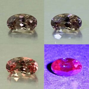 CCDragonGarnet oval 5.0x3.1mm 0.32cts N cc460 comboAll