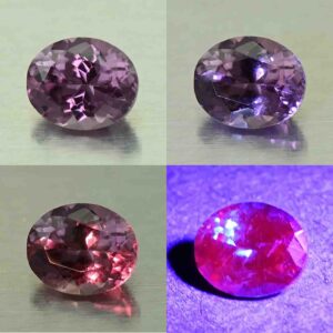 CCDragonGarnet oval 5.5x4.5mm 0.61cts N cc461 comboAll