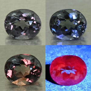 CCDragonGarnet oval 5.6x4.6mm 0.74cts N cc635 comboAll
