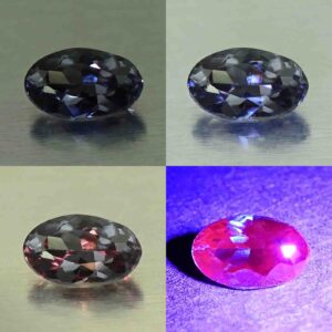 CCDragonGarnet oval 5.8x3.6mm 0.52cts N cc462 comboAll