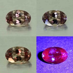 CCDragonGarnet oval 5.8x3.9mm 0.47cts N cc463 comboAll