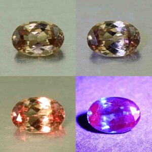 CCDragonGarnet oval 5.8x3.9mm 0.50cts N cc464 comboAll