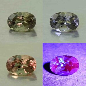 CCDragonGarnet oval 5.8x4.0mm 0.58cts N cc465 comboAll