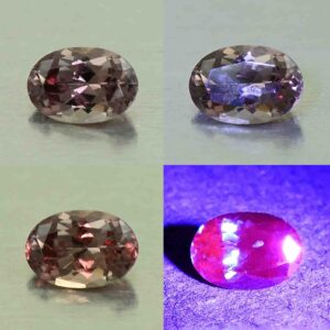 CCDragonGarnet oval 6.0x4.1mm 0.59cts N cc466 comboAll