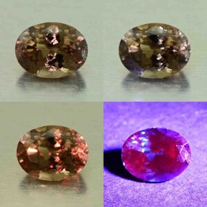 CCDragonGarnet oval 6.0x4.7mm 0.80cts N cc467 comboAll