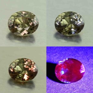 CCDragonGarnet oval 6.0x5.0mm 0.85cts N cc468 comboAll