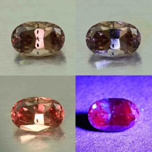 CCDragonGarnet oval 6.1x4.0mm 0.68cts N cc469 comboAll