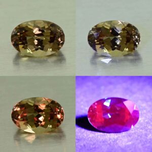 CCDragonGarnet oval 6.2x4.2mm 0.69cts N cc470 comboAll