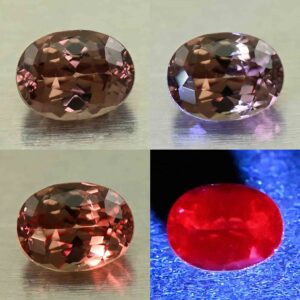 CCDragonGarnet oval 6.2x4.7mm 1.01cts N cc563 comboAll