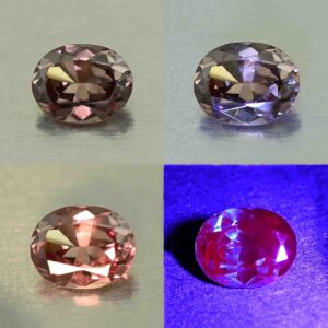 CCDragonGarnet oval 6.2x4.9mm 0.74cts N cc471 comboAll