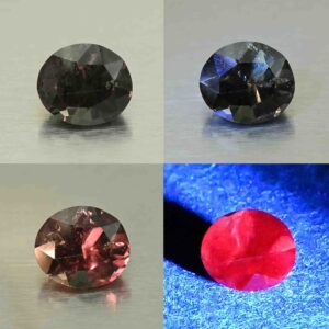 CCDragonGarnet oval 6.2x5.3mm 0.94cts N cc606 comboAll