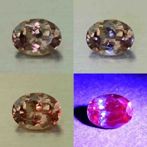 CCDragonGarnet oval 6.3x4.7mm 0.69cts N cc472 comboAll