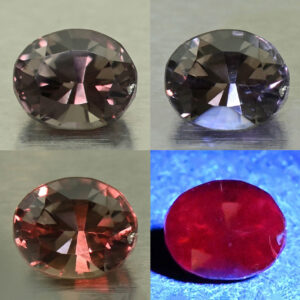 CCDragonGarnet oval 6.3x5.1mm 1.05cts N cc637 comboAll